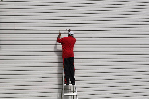 Affordable Siding Repair and Maintenance Services in New Prague, MN